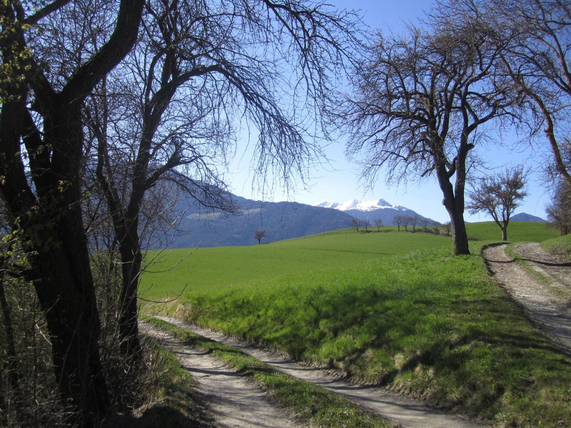 Residence Zum Theater Colle Isarco Eksteriør bilde